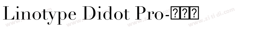 Linotype Didot Pro字体转换